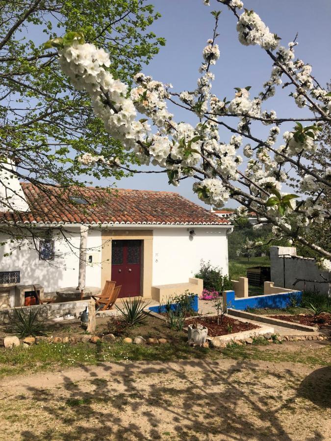 קאסטלו דה וידה Ola Linda - Casa De Campo - מראה חיצוני תמונה